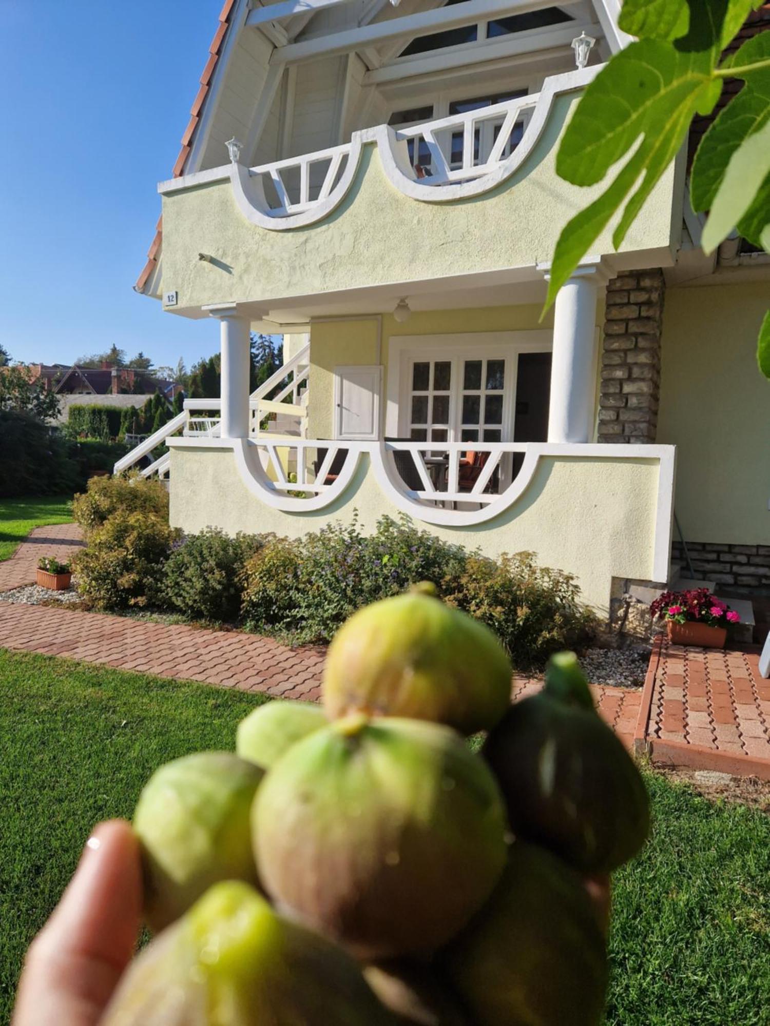 Aparthotel Balaton Apartman Fured Balatonfüred Exteriér fotografie